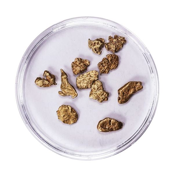 Lot of Gold Nuggets 2.95 Grams Total Weight