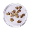 Image 1 : Lot of Gold Nuggets 2.95 Grams Total Weight