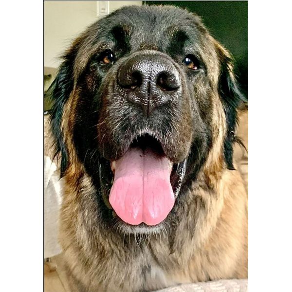 COME ONE COME ALL! WELCOME BIDDERS!