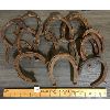 Image 1 : JOB LOT - QTY OF HORSE SHOES