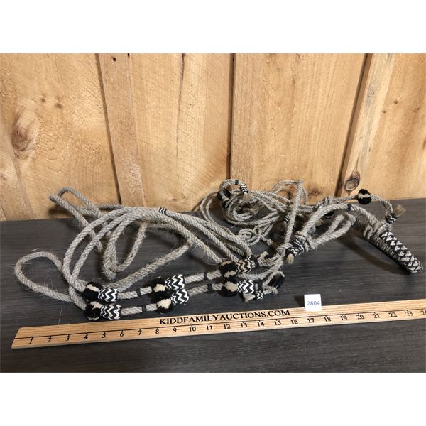 SHOSHONE HORSE HAIR BRIDLE