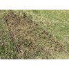 Image 1 : 12 FOOT CHAIN HARROWS