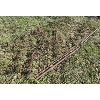 Image 2 : 12 FOOT CHAIN HARROWS