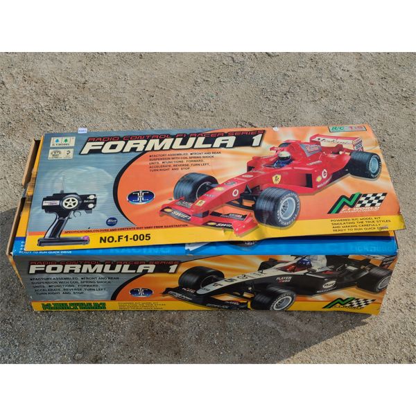 FORMULA 1 KIT BUILT 1/5 SCALE RC RACE CAR W/ CONTROLLER - Kidd Family ...