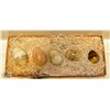 Image 1 : SET OF 5 HEALING STONE EGGS