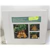Image 1 : TREE FACE PATIO PLANTERS