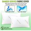 Image 1 : 2 NEW BAMBOO SLEEPSIA MEMORY FOAM PILLOW