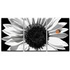 Image 1 : NEW BLACK & WHITE SUNFLOWER 3PCS ARTWORK - 16 X 24