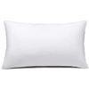 Image 1 : LOT OF 2 MEMORY FOAM PILLOW INSERTS