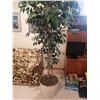 Image 2 : Kroehler Sofa Bed and Potted Artificial Tree