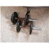 Image 2 : Fitnessclub Mini-Trampoline and 2 x Dumbells w/ Weights