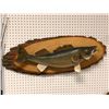 Image 1 : Walleye wall mount professionally taxidermied