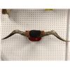 Image 1 : Bull horns mount