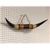 Image 2 : Bull horns mount
