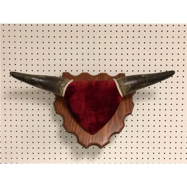 Bull horns mount