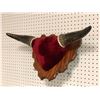 Image 2 : Bull horns mount
