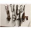 Image 1 : Group of 5 vintage assorted animal leg-hold traps