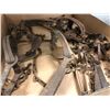Image 2 : Box of 11 assorted vintage animal leg-hold traps