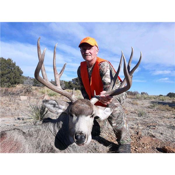 JACK CASSIDY: 5-Day Mule Deer and Black Bear Hunt for One Hunter in Colorado - Includes Trophy Fees