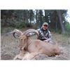 Image 1 : TROPHY TRAILS: 4-Day Big Game Hunt for Two Hunters and Two Non-Hunters in Spain - Includes Trophy Fe