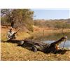 Image 1 : THORMAHLEN: 10-Day Crocodile Hunt for One Hunter and One Non-Hunter in South Africa - Includes Troph