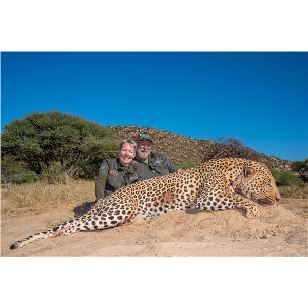 DZOMBO: 14-Day Dangerous Game (Leopard) Safari for One Hunter in Central Namibia - Includes Trophy F