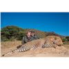 Image 1 : DZOMBO: 14-Day Dangerous Game (Leopard) Safari for One Hunter in Central Namibia - Includes Trophy F