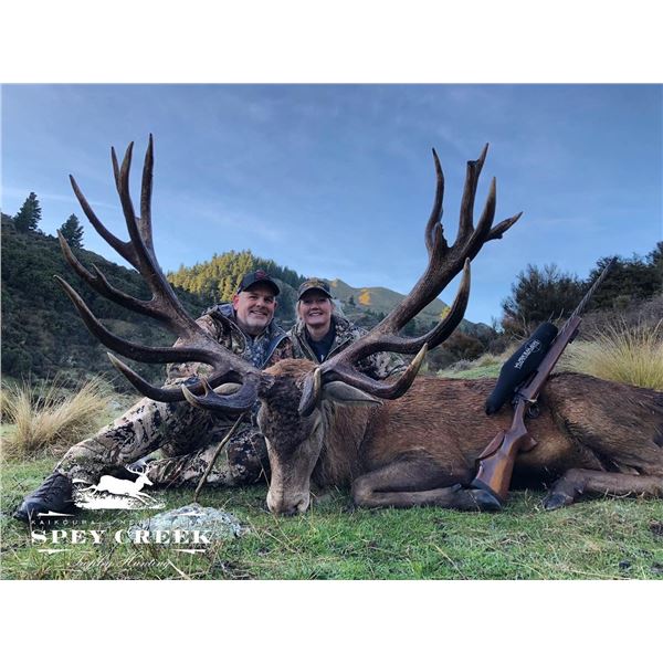 SPEY CREEK: 5-Day Red Stag Hunt for Two Hunters and Two Non-Hunters in New Zealand - Includes Trophy