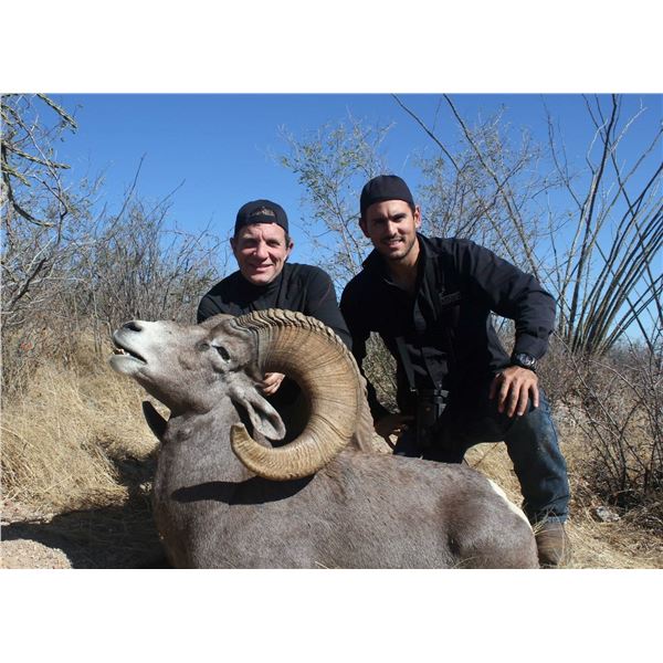 RANCHO HUNTING: 5-Day Desert Bighorn Sheep Hunt for One Hunter in Sonora, Mexico - Includes Trophy F