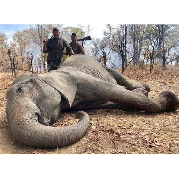 HUNTERS CREEK: 5-Day Tuskless Elephant Hunt for One Hunter in Zambia - Includes Trophy Fee