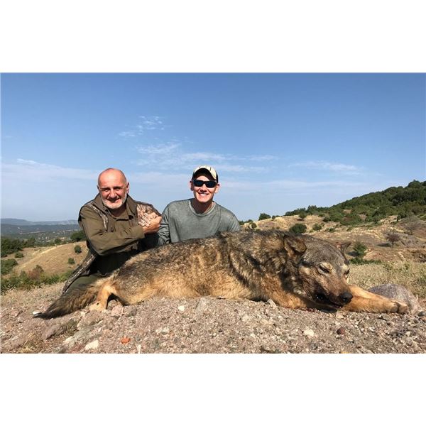 SAFARI INTL: 5-Day Wolf Hunt for One Hunter and One Non-Hunter in Macedonia - Includes Trophy Fee