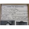 Image 2 : Copy Of Prostitution License- Arizona Territory 1899- Tea Cup Sallie- 11" X 9"