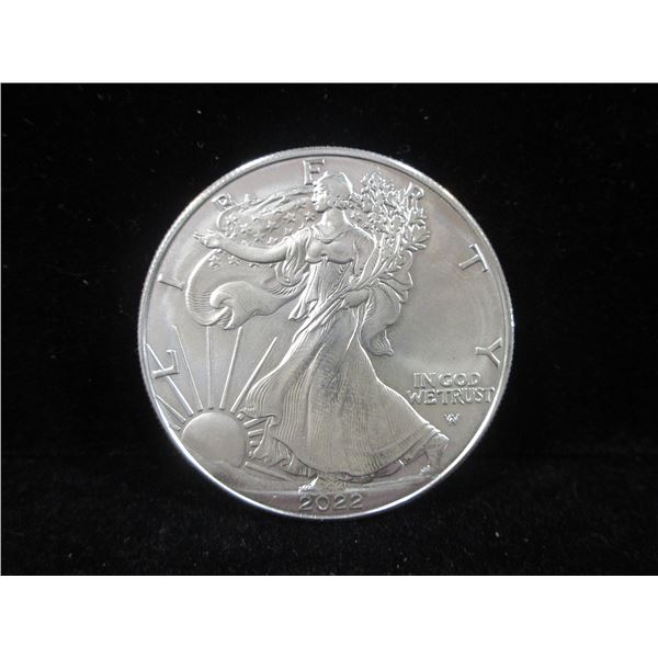 20 Uncirculated 2022 Silver Eagles- US Mint