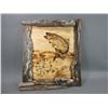 Image 1 : Plywood Fish Clock- Bark Frame- 24" X 20"