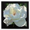 Image 1 : Brian Davis "Rose In The Shadows" Limited Edition Giclee On Canvas