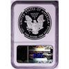 Image 2 : 2010-W $1 Proof American Silver Eagle Coin NGC PF69 Ultra Cameo