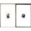 Image 1 : Lot of (2) 1800's Vignette from Original Proof Plates