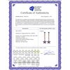 Image 2 : Genuine 4.8 ctw Amethyst Earrings 14KT Yellow Gold - REF-56R8P