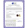 Image 2 : Genuine 12.46 ctw Garnet & Diamond Earrings 14KT Rose Gold - REF-130M2T