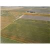 Image 2 : 160.1 +/- Acres of Dryland