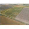 Image 6 : 160.1 +/- Acres of Dryland