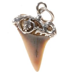 Silver Layered Sharks Tooth Pendant   (JEW-031)