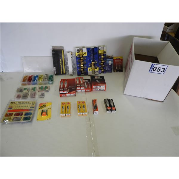 Automotive fuses and lighbulbs and spark plugs (all unused)