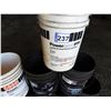 Image 2 : (8) 20 L Pails