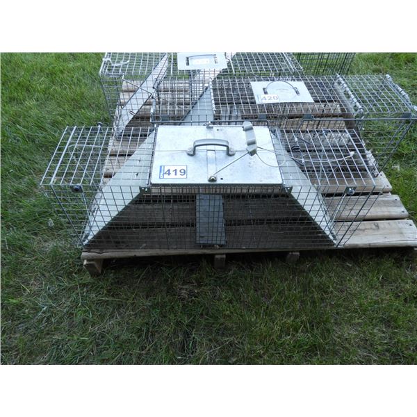 Large live catch trap open both ends (one trap)