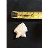 Image 2 : Arrowhead