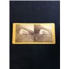 Image 1 : Photographed and published by LF Adams New Bedford Massachusetts
