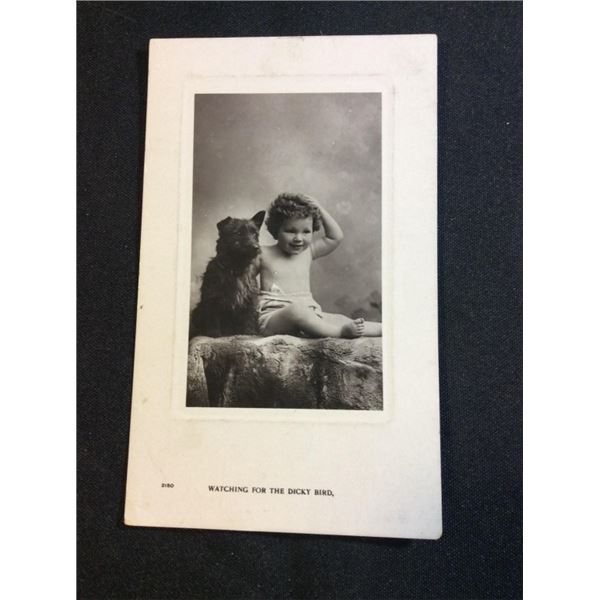 Watching for the dickie bird photo postcard