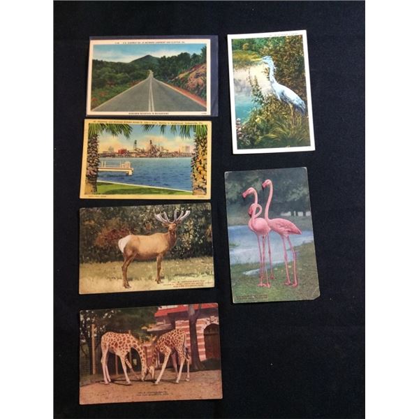 Post card lot