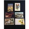 Image 1 : Post card lot